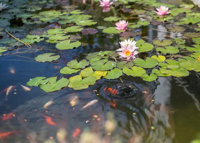 Seven דירה קסזטלי